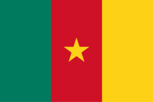 Post Vacancies in Cameroon